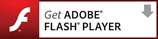 Get Flash Player Plugin